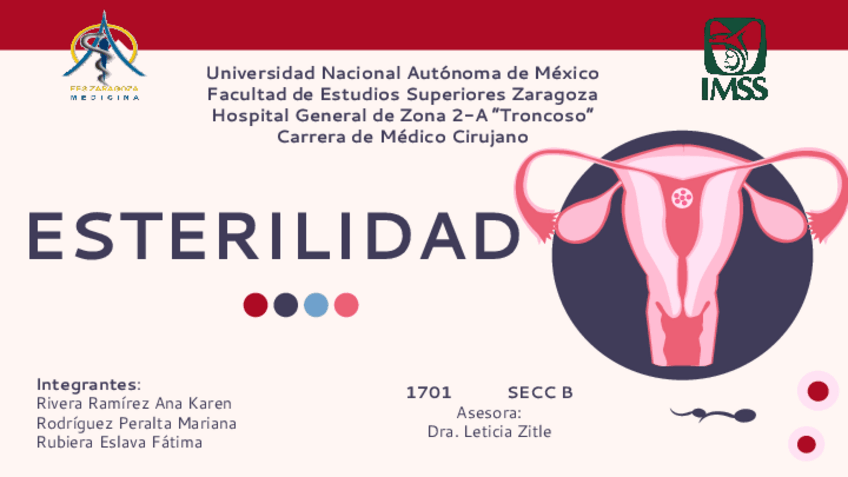 Miniatura del documento Esterilidad-GyO.pdf