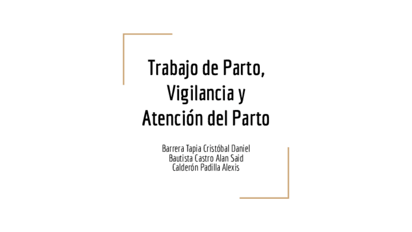 Miniatura del documento Trabajo-de-Parto.pdf