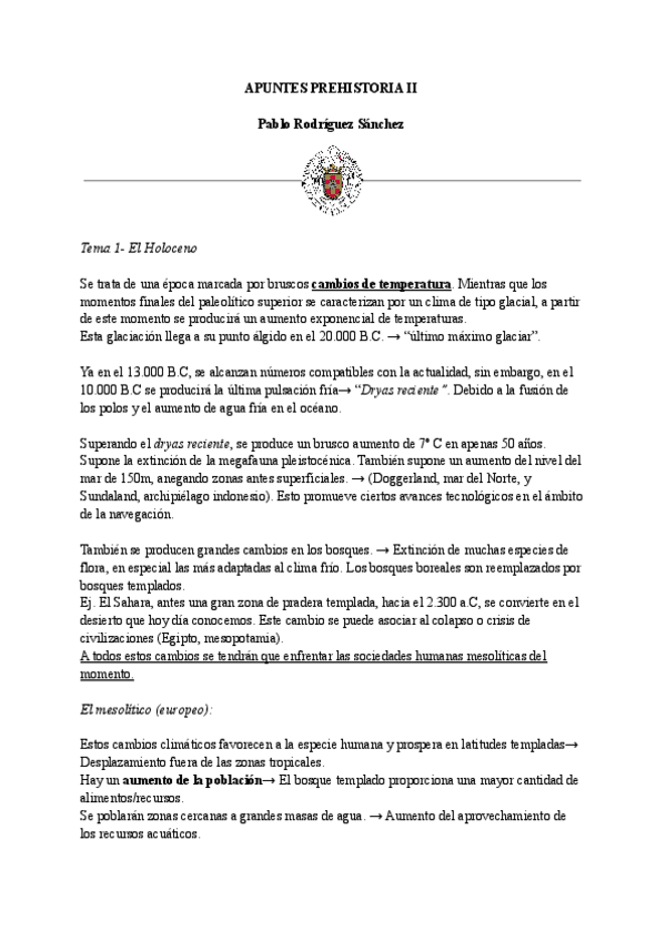 Miniatura del documento APUNTES-PREHISTORIA-II-1.pdf