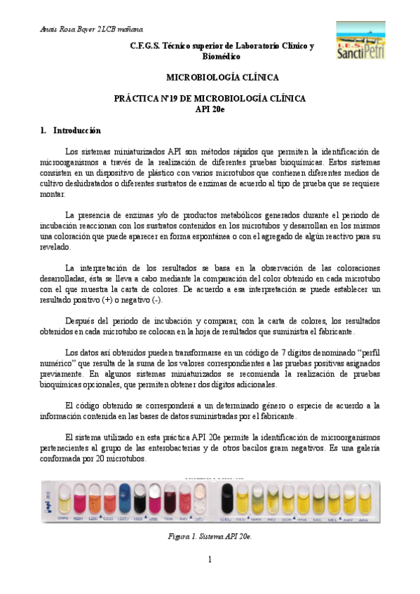 Miniatura del documento PRACTICA-No20-DE-MICROBIOLOGIA-CLINICA-API-20e.-PDF.pdf