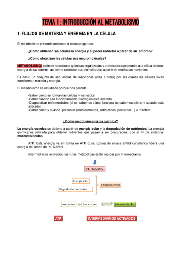 Miniatura del documento TEMA-1-BIOQ-II.pdf