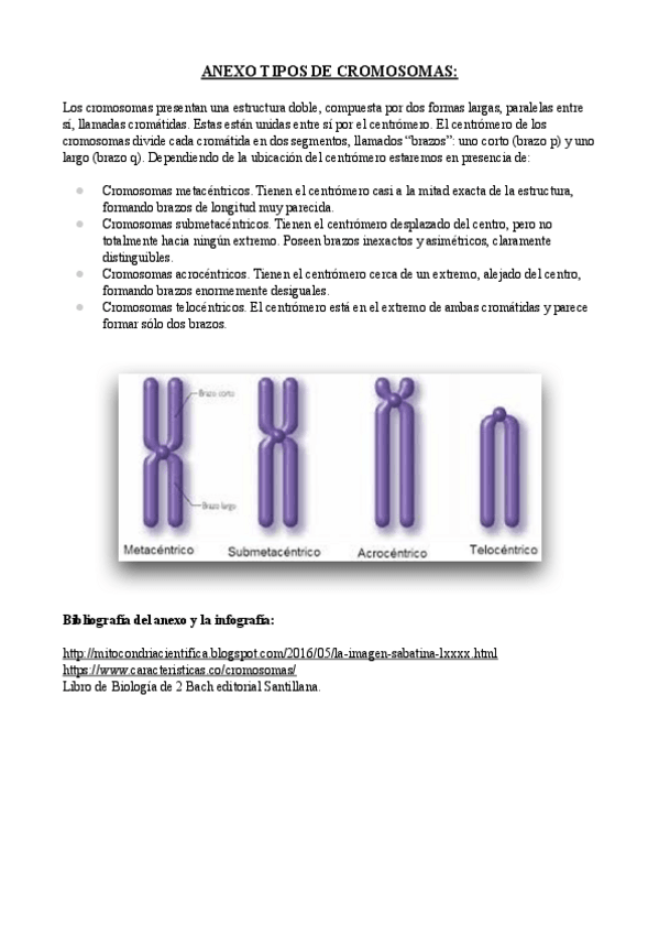 Miniatura del documento ANEXO-TIPOS-DE-CROMOSOMAS.pdf