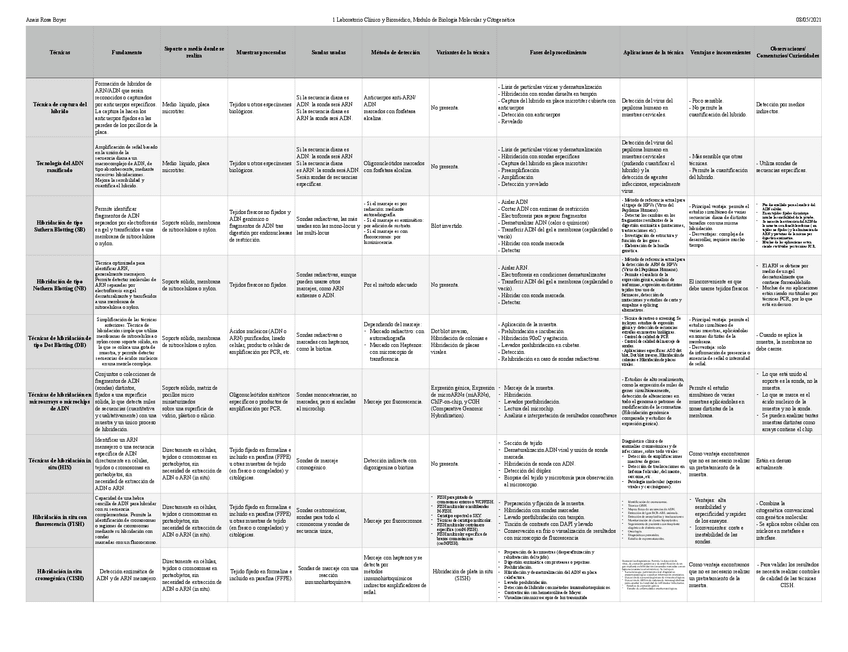 Miniatura del documento Cuadro-comparativo-tecnicas-de-hibridacion.-Anais-Rosa-Boyer-1LABMA.pdf