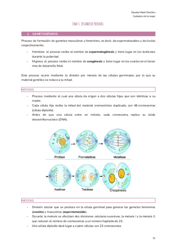 Miniatura del documento TEMA-5-DESARROLLO-PRENATAL.pdf