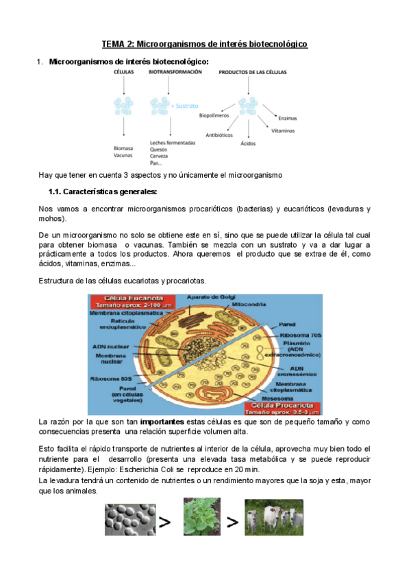 Miniatura del documento Tema-2-3-4-BM.pdf