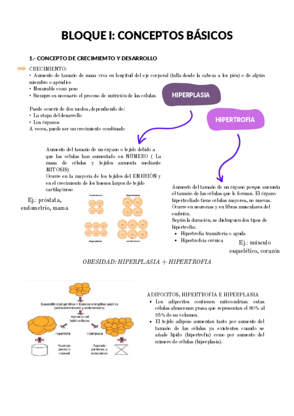 Miniatura del documento BLOQUE-I-CONCEPTOS-BASICOS.pdf