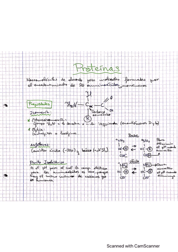 Miniatura del documento Tema 5. Proteinas y Acidos Nucleicos.pdf