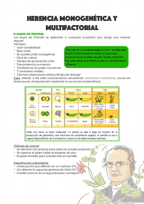 Miniatura del documento TEMA-2.pdf