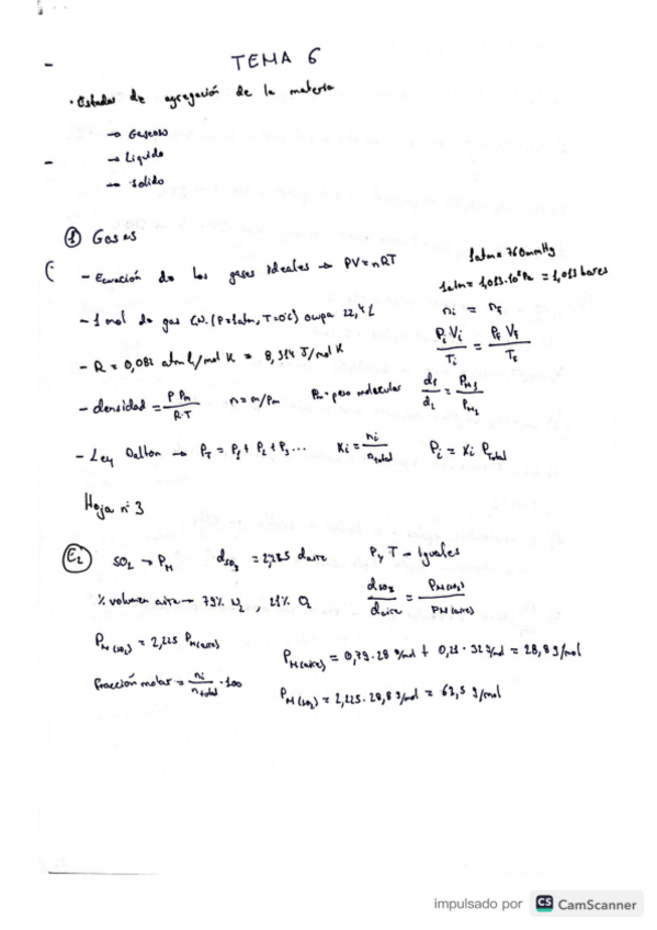 Miniatura del documento TEMAS-6-10.pdf