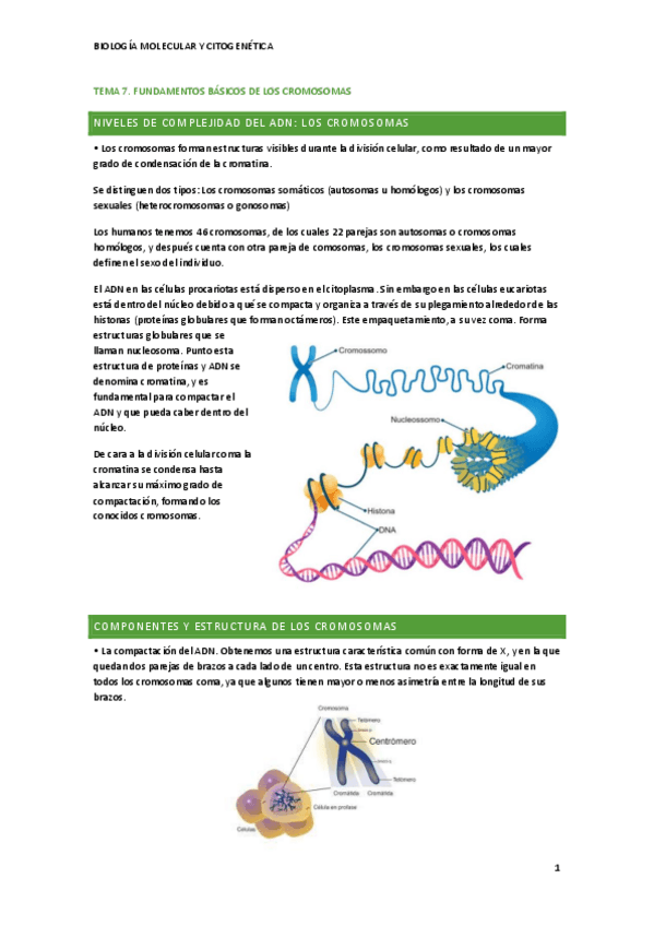 Miniatura del documento Biologia-T7.pdf