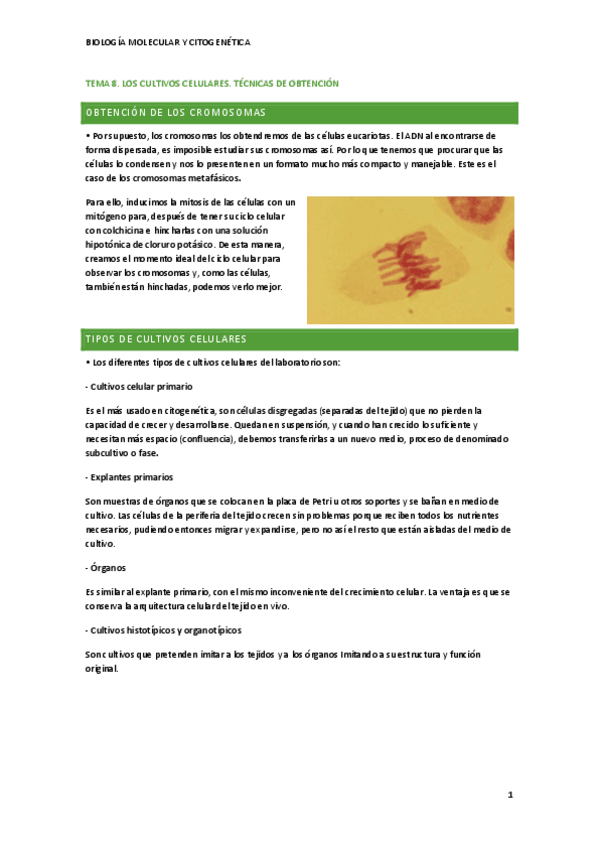 Miniatura del documento Biologia-T8.pdf