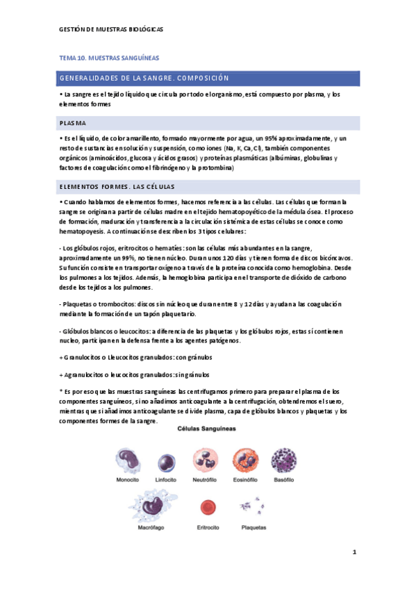 Miniatura del documento GMB-T10.pdf