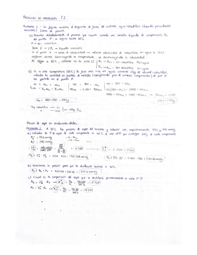 Miniatura del documento ProblemasQuImicaT2.pdf