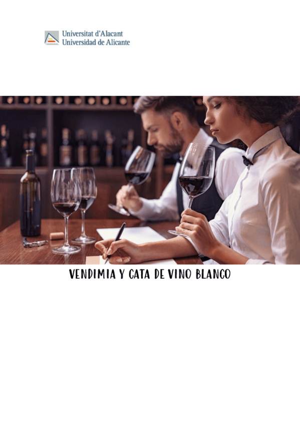 Miniatura del documento PRACTICA-1-SUMILLERIA.pdf