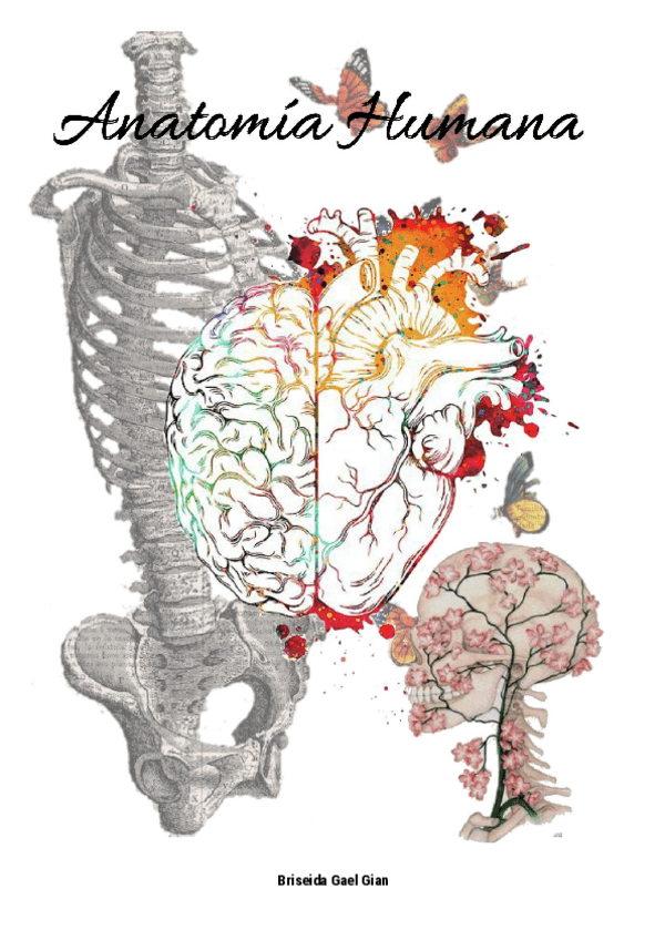Miniatura del documento AH-Introduccion.pdf