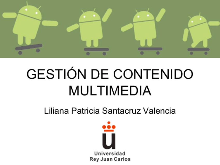 Miniatura del documento GestionMM.pdf