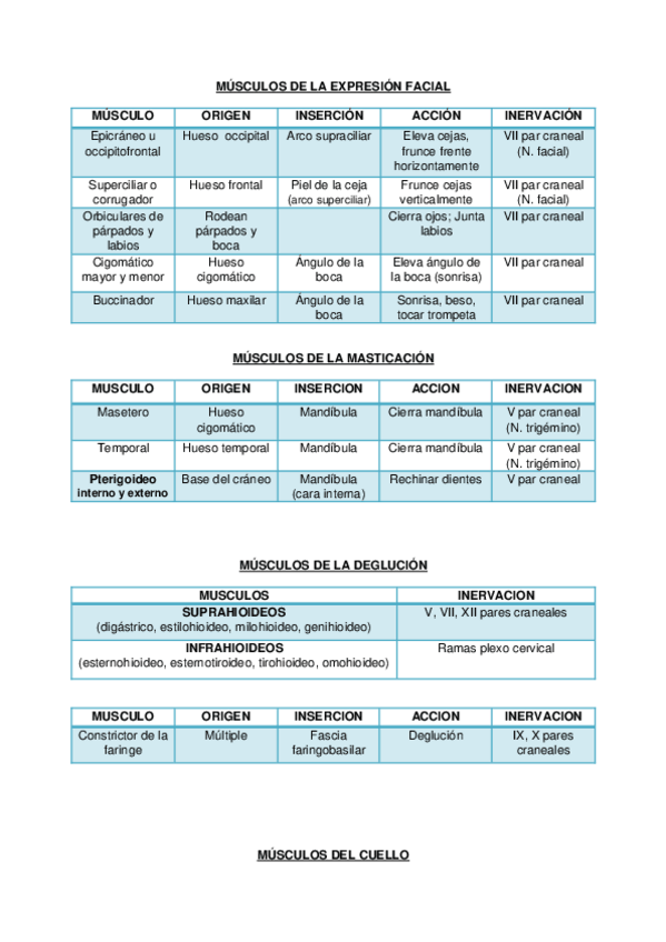 Miniatura del documento 03-07,10.tablas musculos.docx