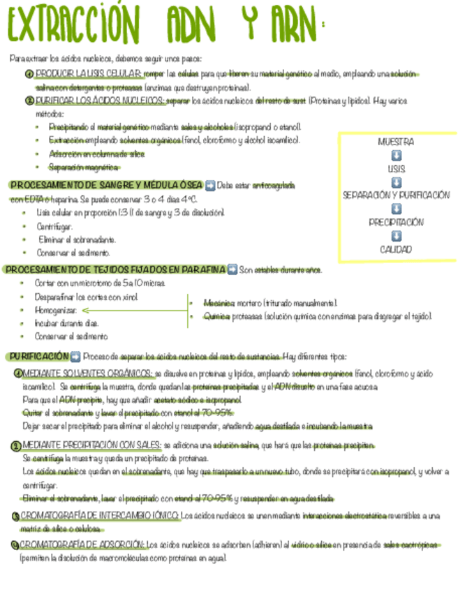 Miniatura del documento TEMA-13-BM.pdf