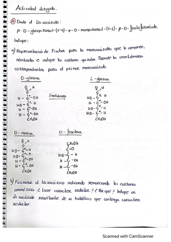 Miniatura del documento ADD.pdf