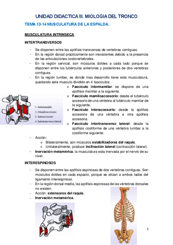 Miniatura del documento UNIDAD DIDACTICA III.TEMA 13-14.pdf