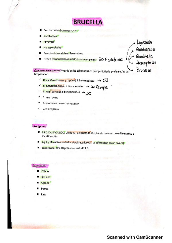 Miniatura del documento brucella20191115114512-1.pdf