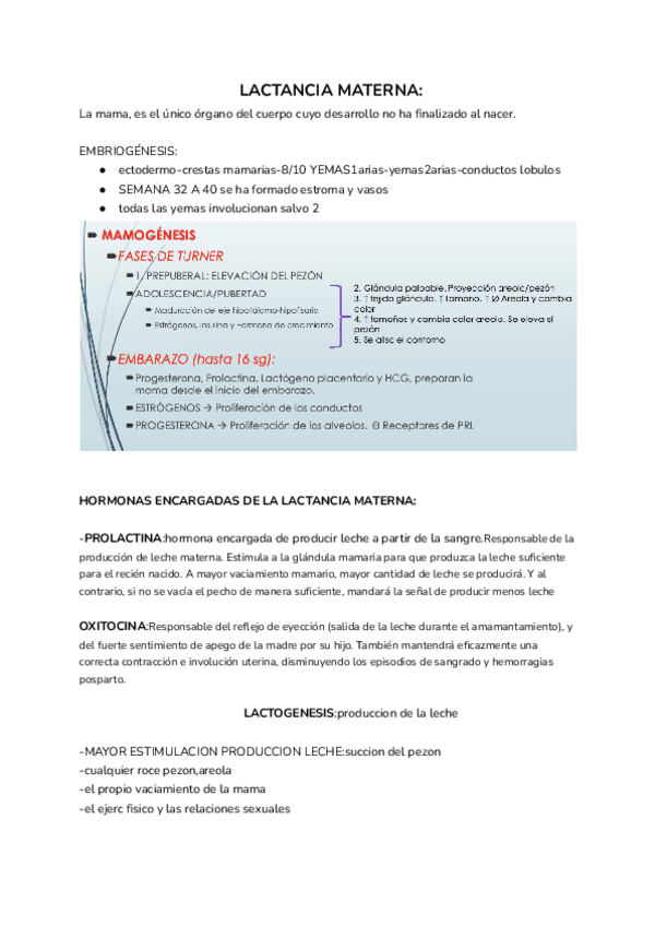 Miniatura del documento LACTANCIA-MATERNA.pdf