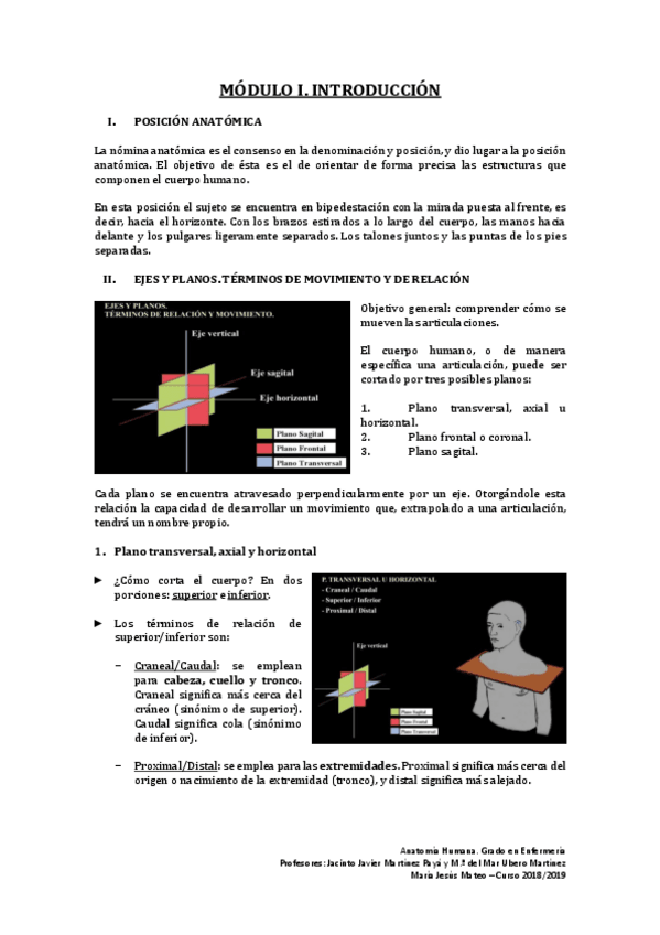Miniatura del documento Anatomia-Humana-1o-Parcial.pdf