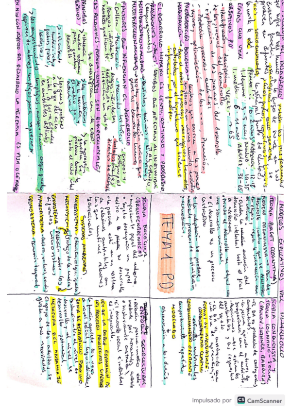Miniatura del documento TEMAS-RESUMEN-PSICOLOGIA-DEL-DESARROLLO.pdf