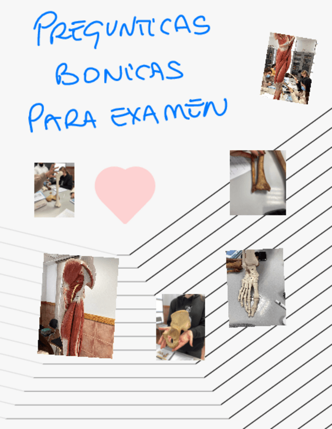 Miniatura del documento PREGUNTAS-ANATOMIA.pdf