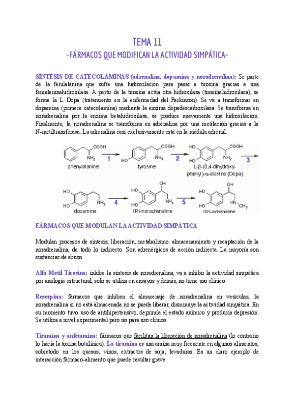 Miniatura del documento TEMA-11-FARMA.pdf