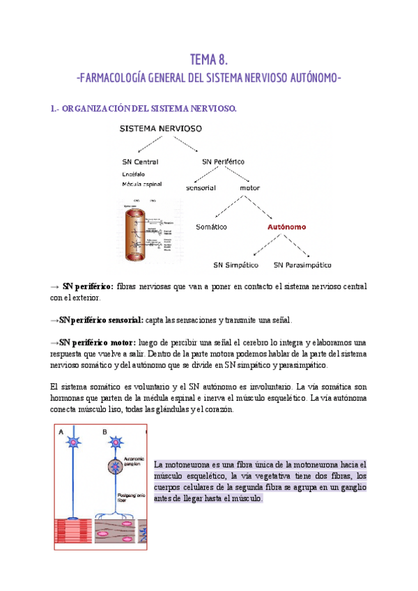 Miniatura del documento TEMA-8-FARMA.pdf