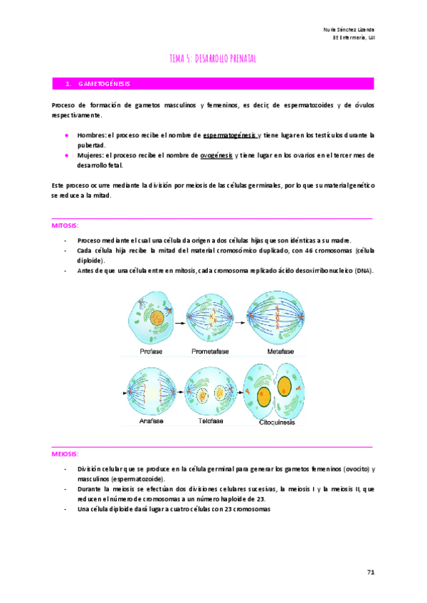 Miniatura del documento TEMA-5-ECOGRAFIA-OBSTETRICA-Y-GINECOLOGICA.pdf