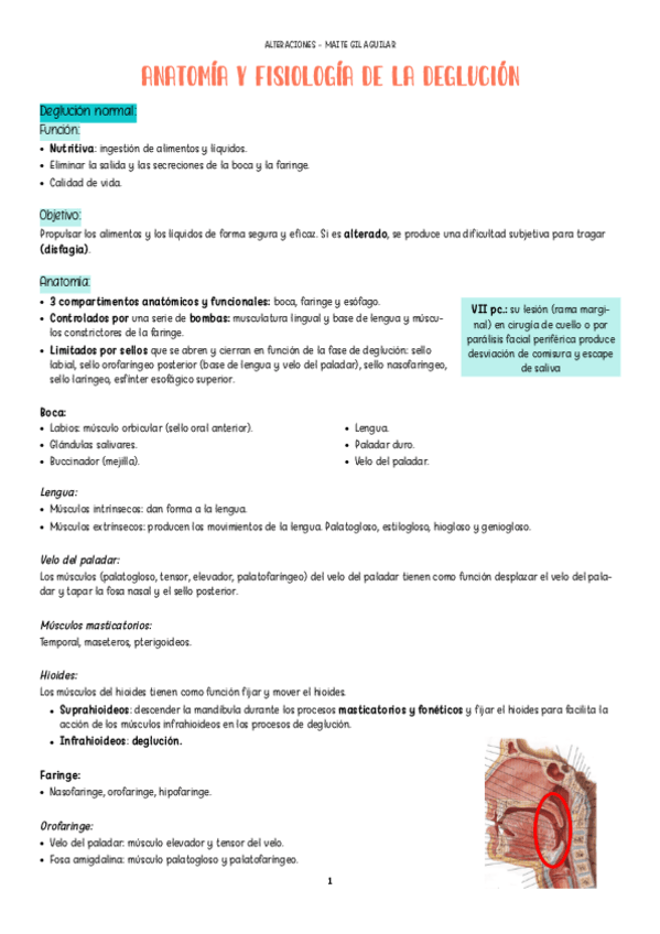 Miniatura del documento Apuntes-Maite-Gil-Aguilar.pdf