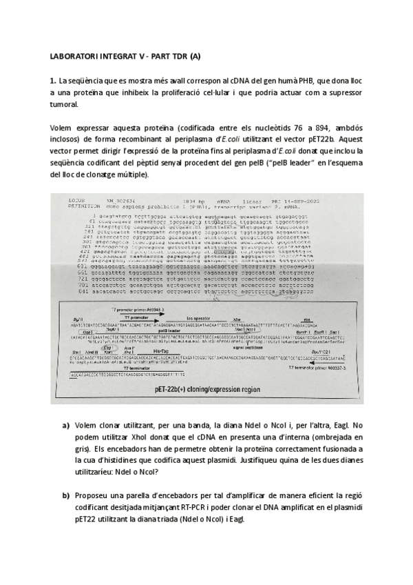 Miniatura del documento Examen-Lab-Int-5.pdf
