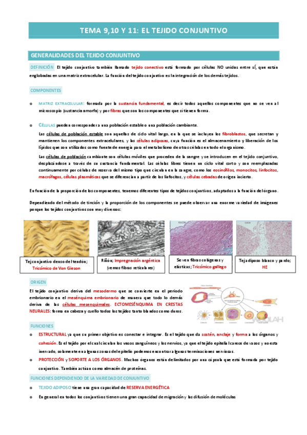 Miniatura del documento TEMA-910-Y-11-TEJIDO-CONJUNTIVO.pdf