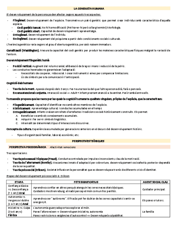 Miniatura del documento Apunts-Bloc-1 Desenvolupament.pdf