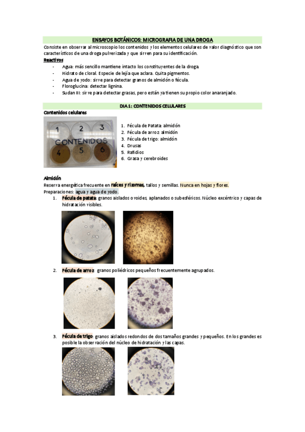 Miniatura del documento practicas semana micrografía 2023.pdf