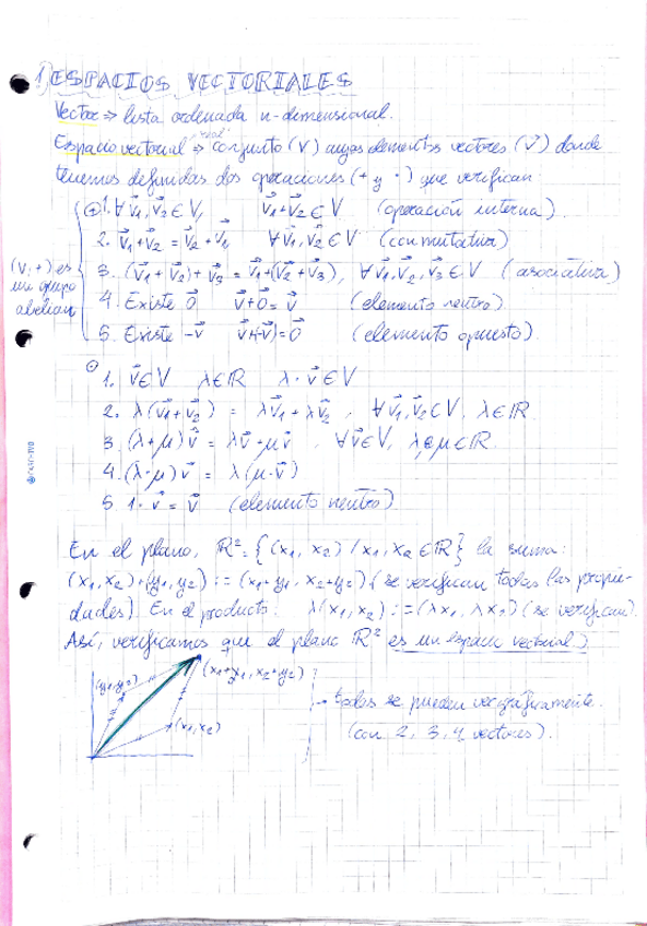 Miniatura del documento TEMA-1-ALGEBRA-LINEAL.pdf