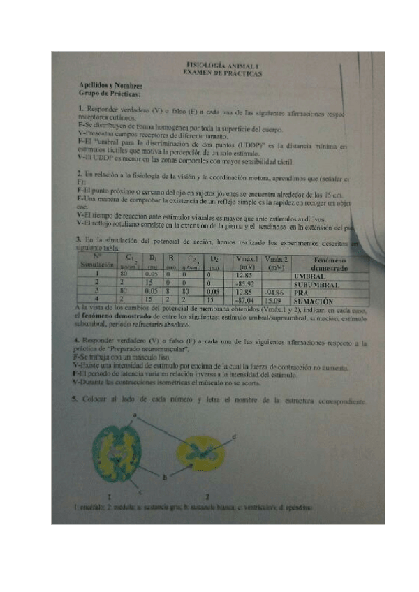 Miniatura del documento EXÁMEN PRÁCTICAS.pdf