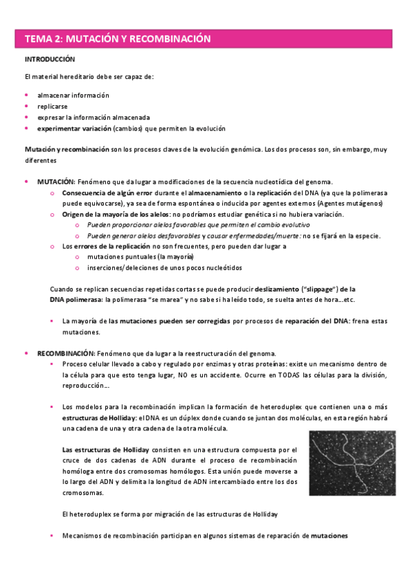 Miniatura del documento TEMA-2-GENETICA-MOL.pdf