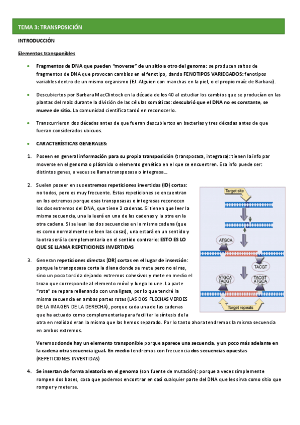 Miniatura del documento TEMA-3-GENETICA-MOL.pdf