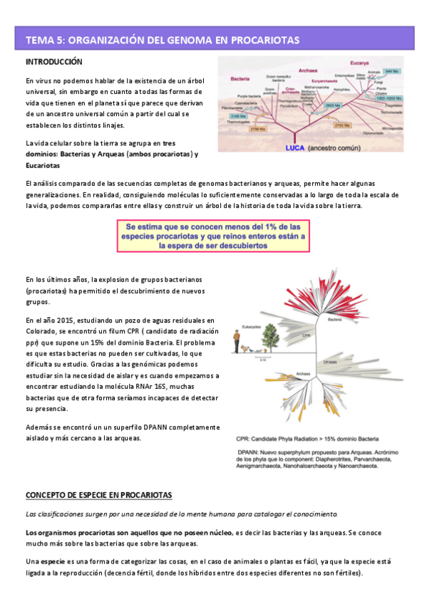 Miniatura del documento T5-GENETICA-MOL.pdf