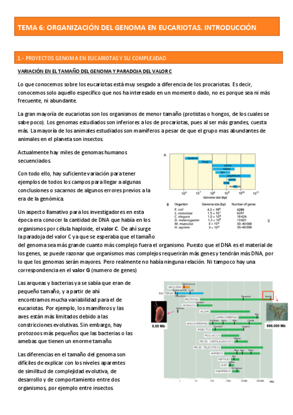 Miniatura del documento TEMA-6-GENETICA.pdf