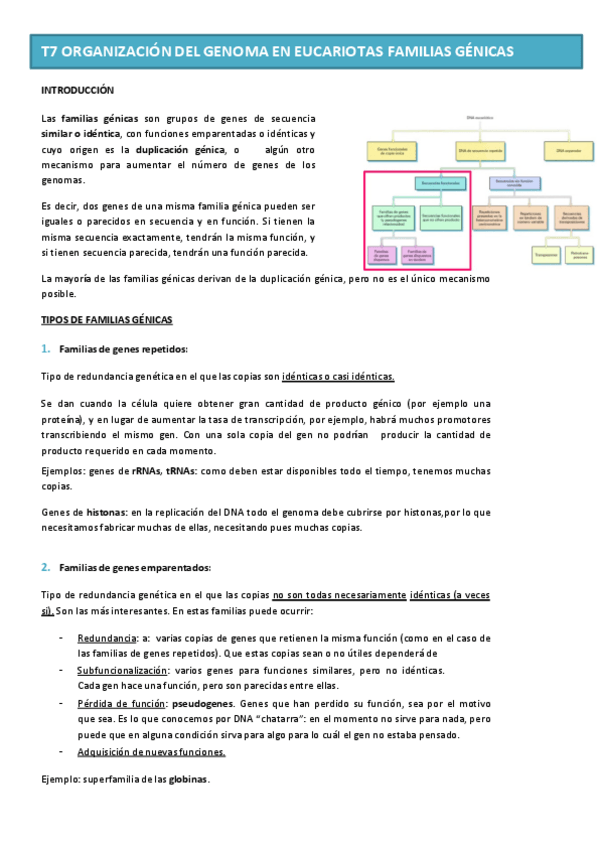 Miniatura del documento Tema-7-GENETICA-MOL.pdf