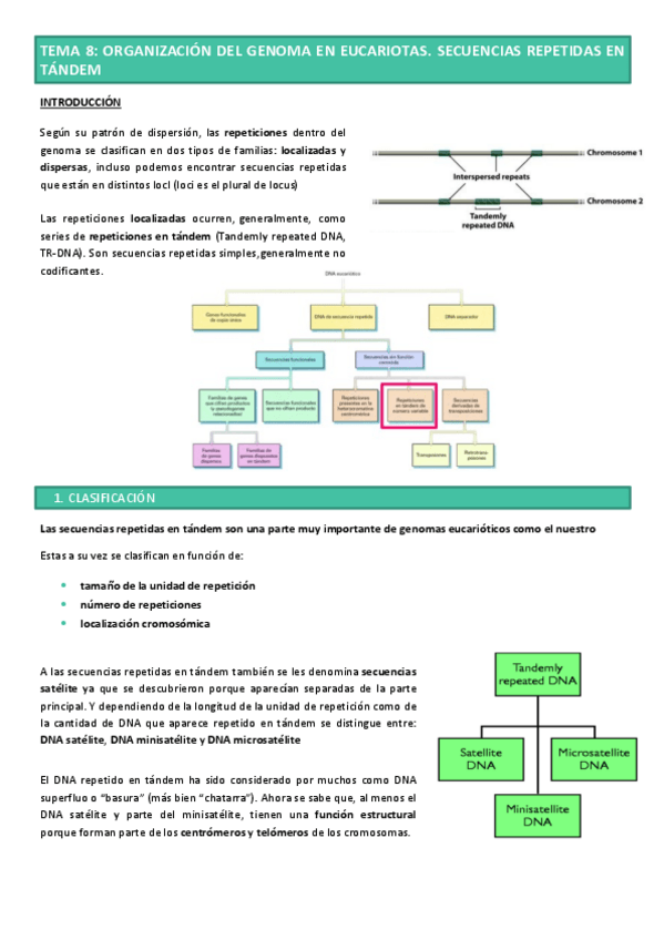 Miniatura del documento Tema-8-GENETICA-MOL.pdf