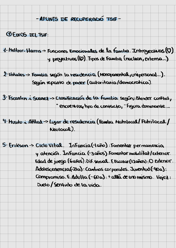 Miniatura del documento TSIFTreball-Social-Individual-i-Familiar.pdf