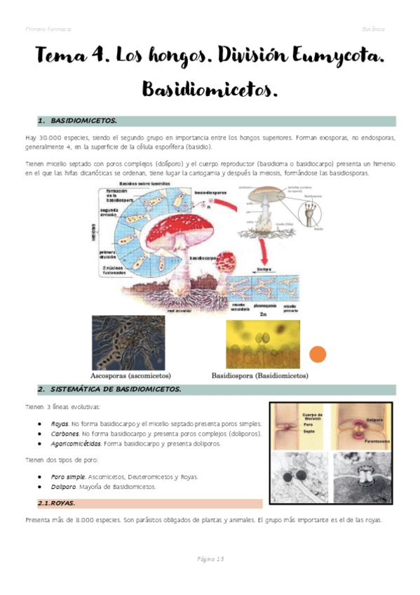 Miniatura del documento Tema-4.-Los-hongos.-DIvision-Eumycota.-Basidiomicetos..pdf