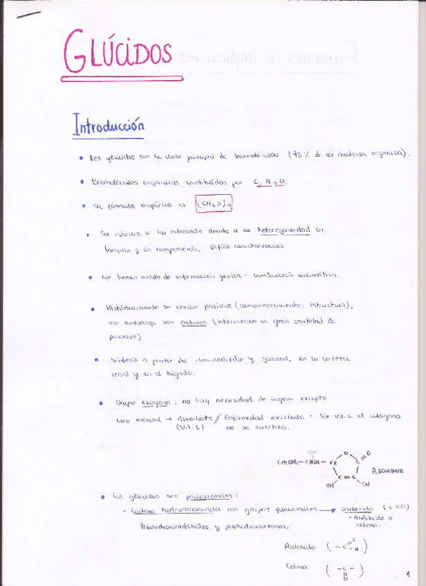 Miniatura del documento Glúcidos.pdf