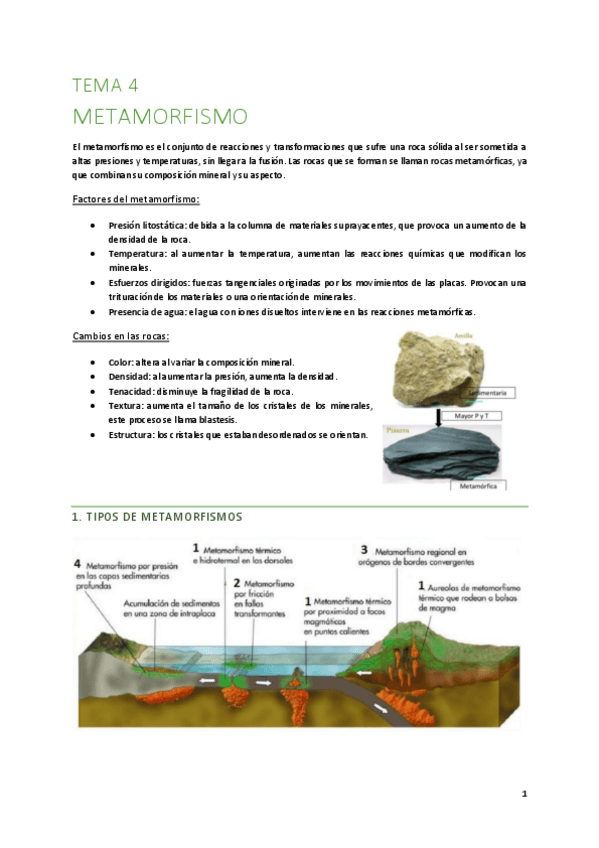 Miniatura del documento T4-Metamorfismo.pdf