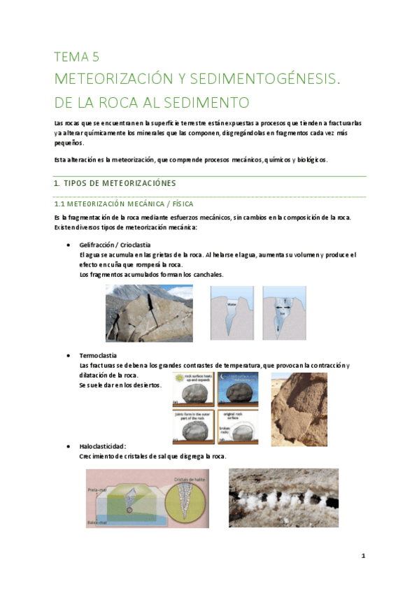 Miniatura del documento T5-De-la-roca-al-sediemento.pdf